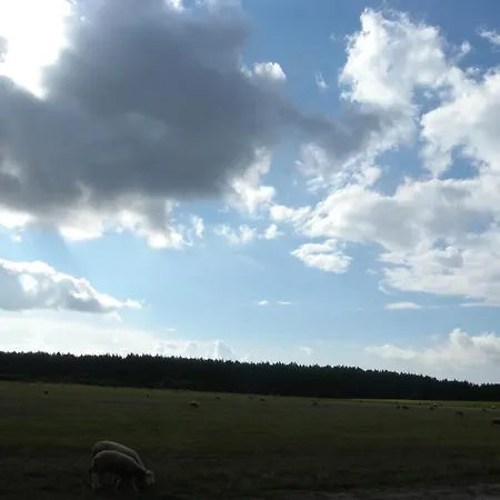 Orman Evi Chatki U Patki