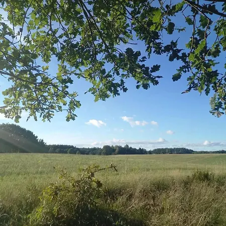 Orman Evi Chatki U Patki *