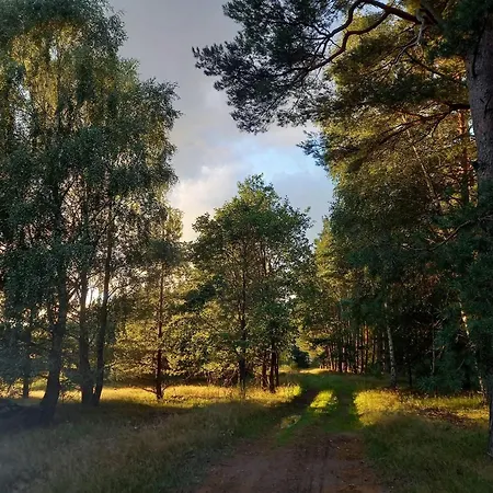 Chatki U Patki Orman Evi Lebieniec