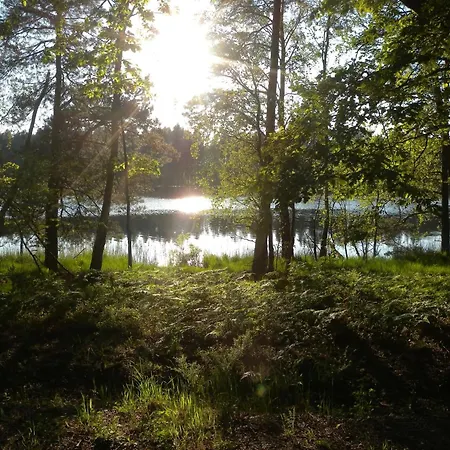 Orman Evi Chatki U Patki Lebieniec