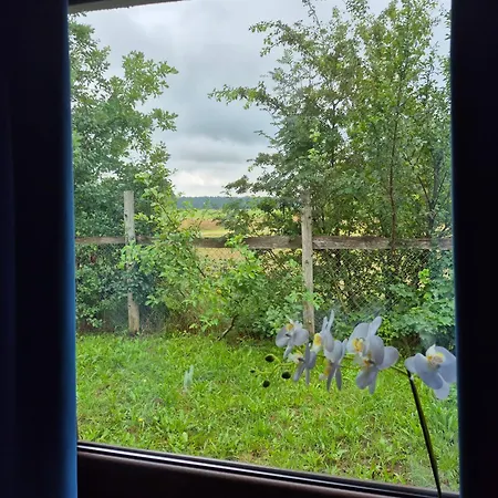 Chatki U Patki Orman Evi Lebieniec