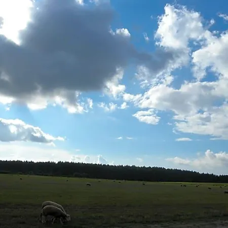 Chatki U Patki Jaktstuga