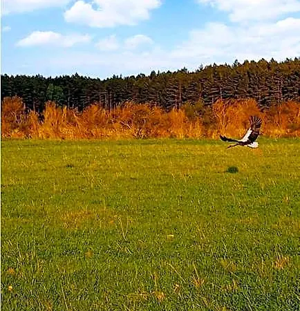 Jaktstuga Chatki U Patki *