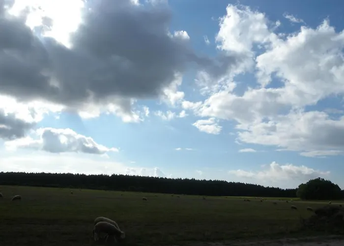 Деревянный коттедж Chatki U Patki